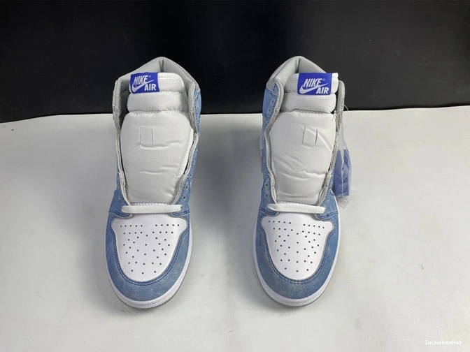 Reps LUCY 3603 555088- Retro Sustainable Hyper Grey Jordan1 Smoke Royal 1013